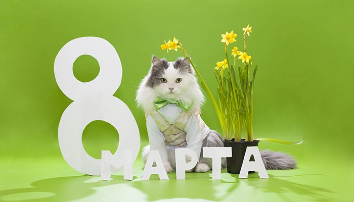 С Международным женским днем 8 марта!