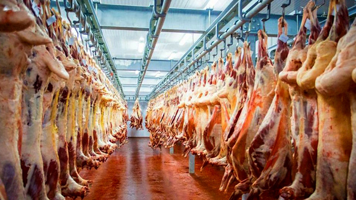 Российское мясо — самый перспективный товар для экспорта в Китай